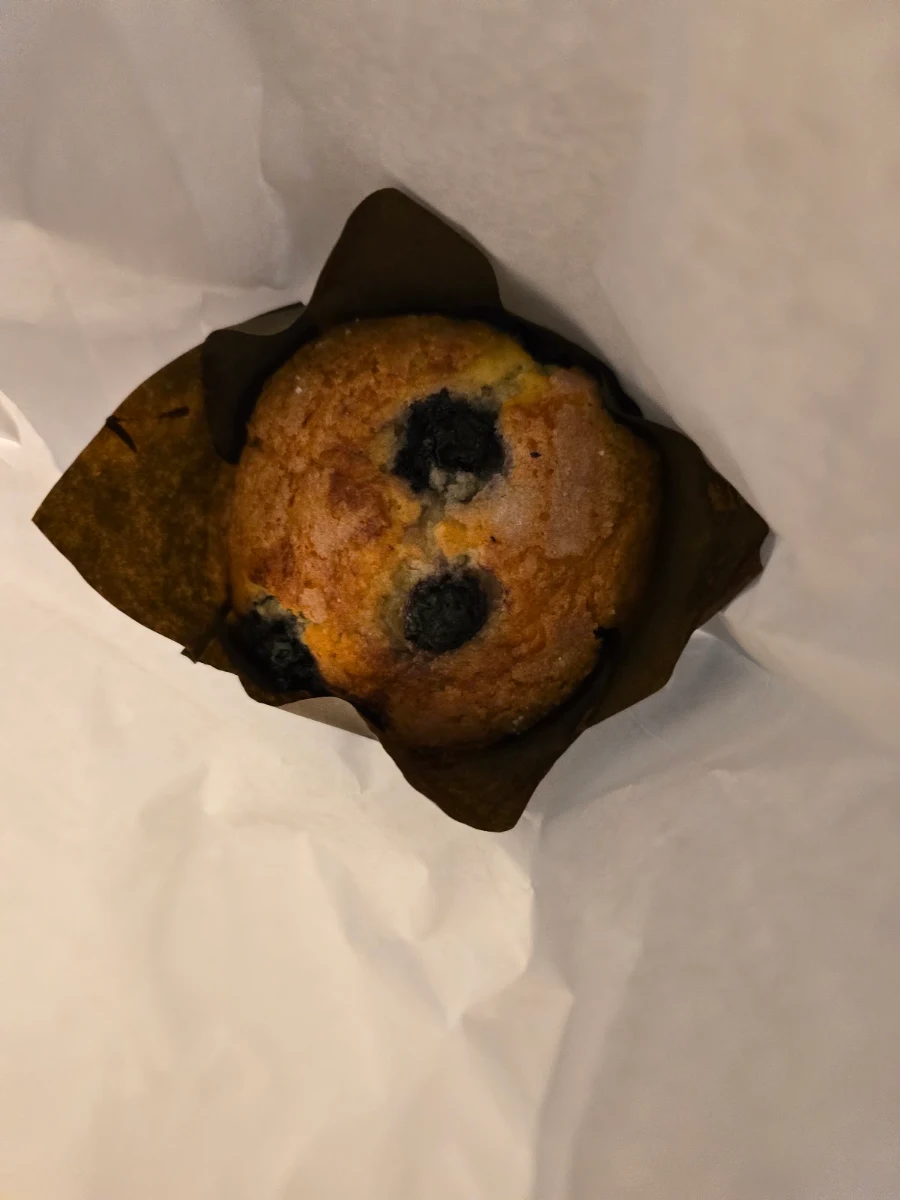 Blueberry Muffin