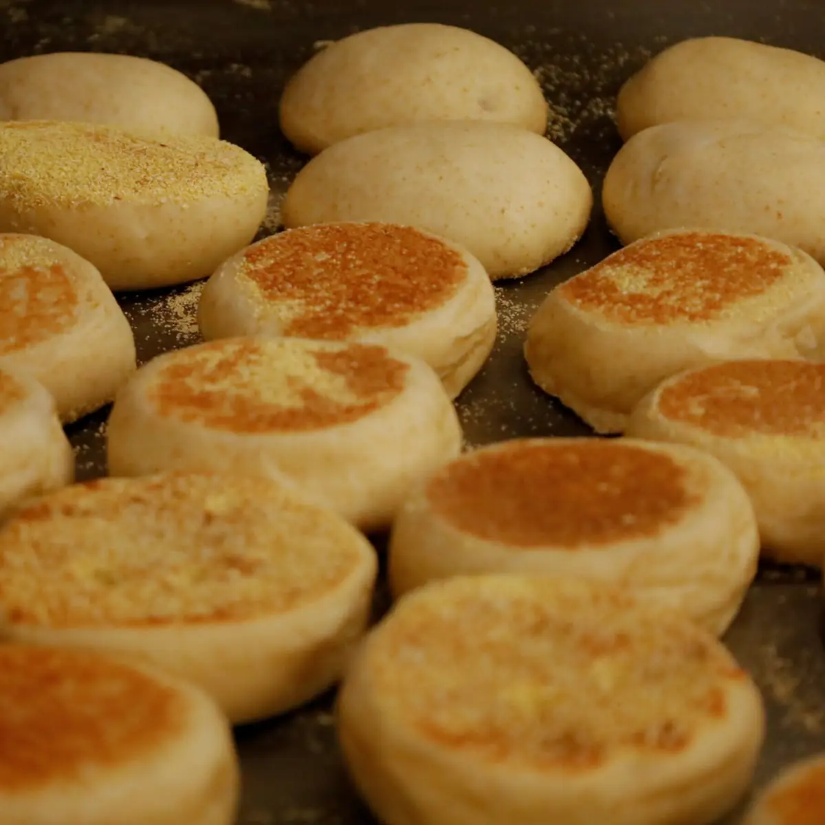 English Muffin with Butter