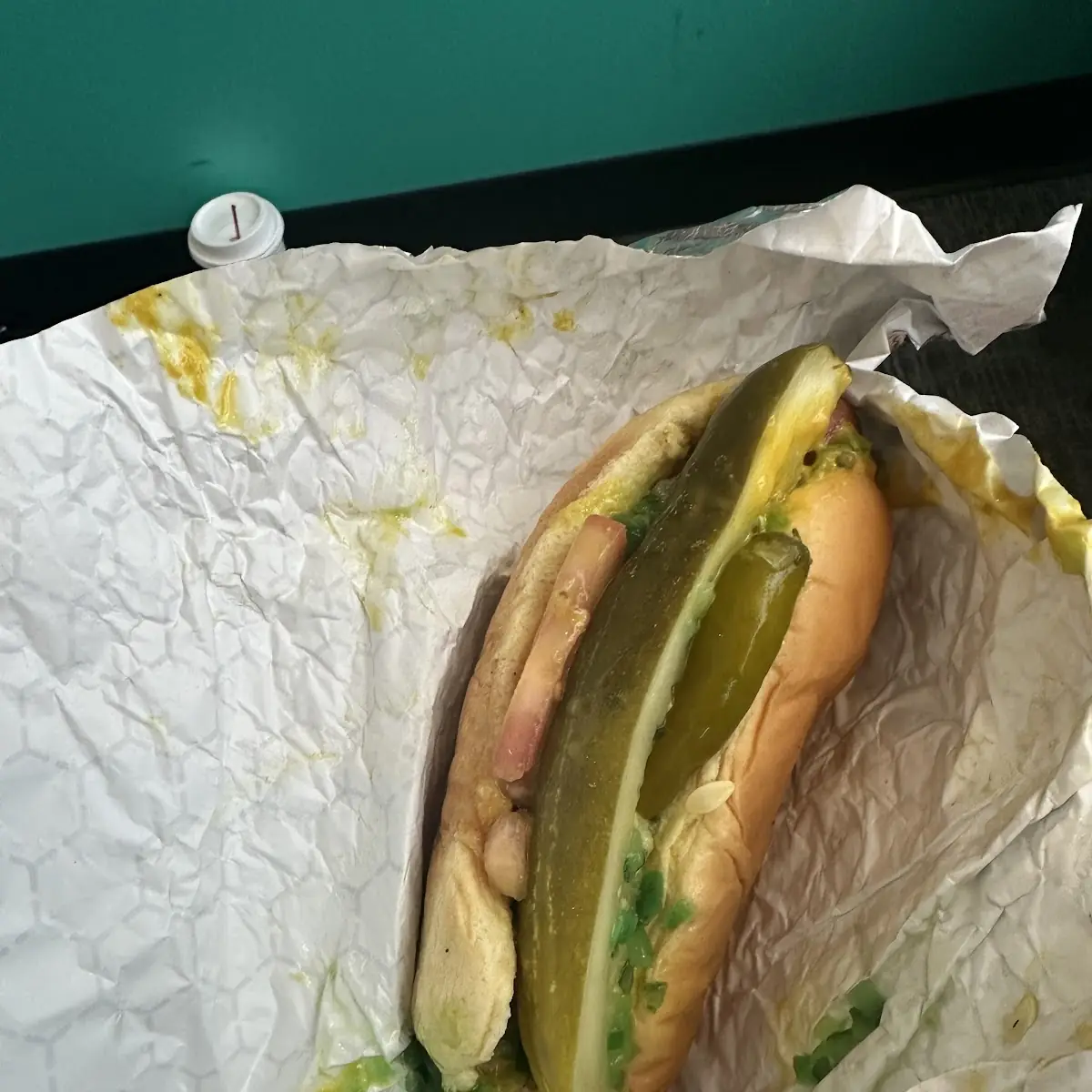 Chicago Dog