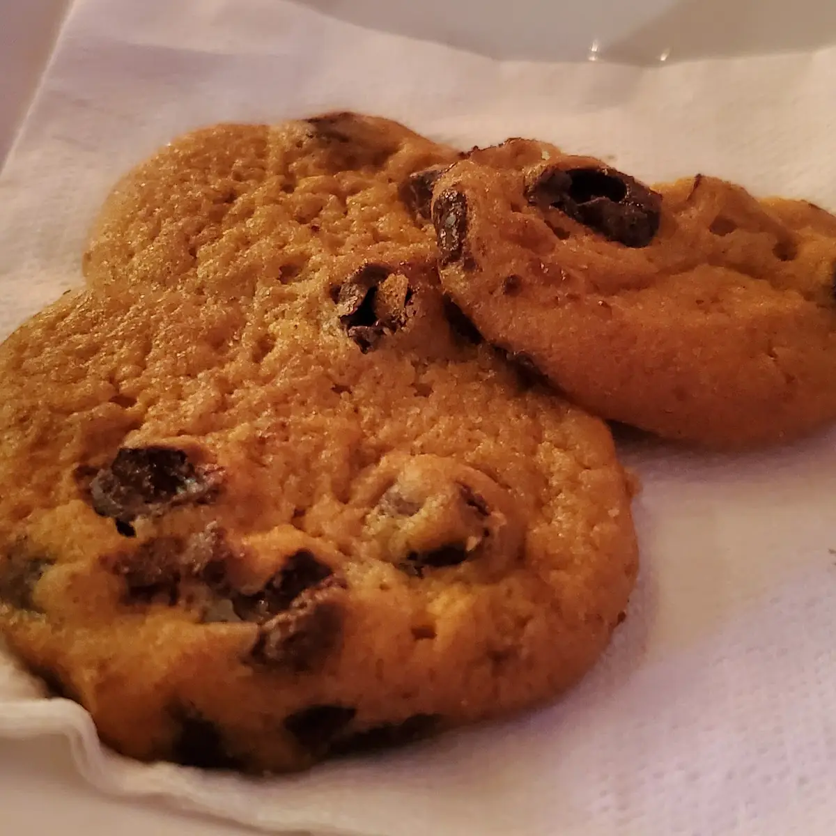 Chocolate Chip Cookie