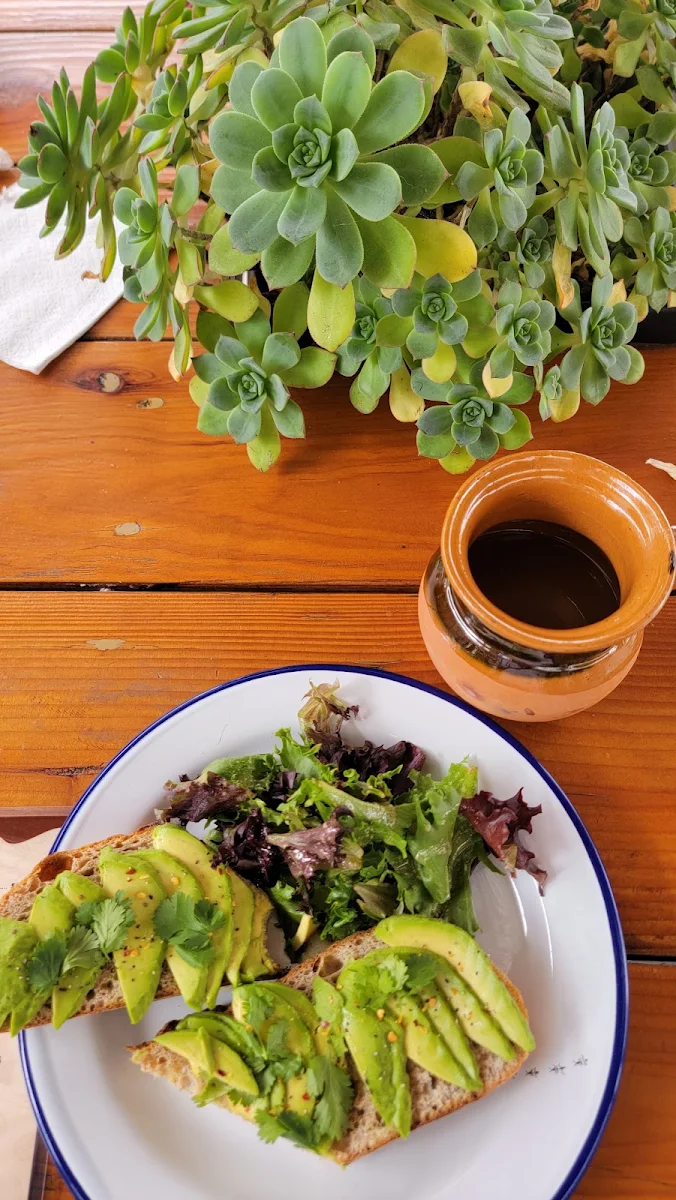 Avocado Toast