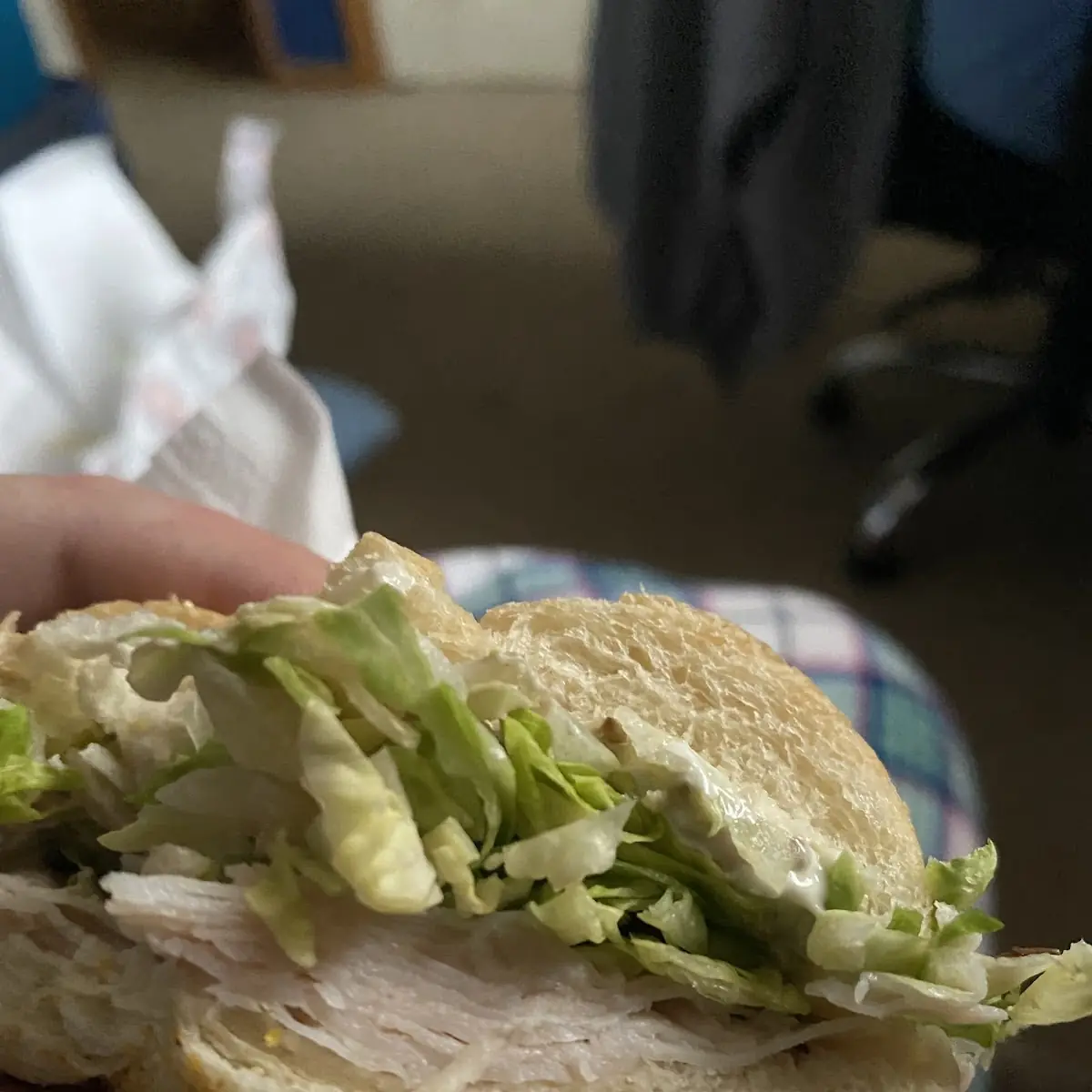 Turkey Sandwich