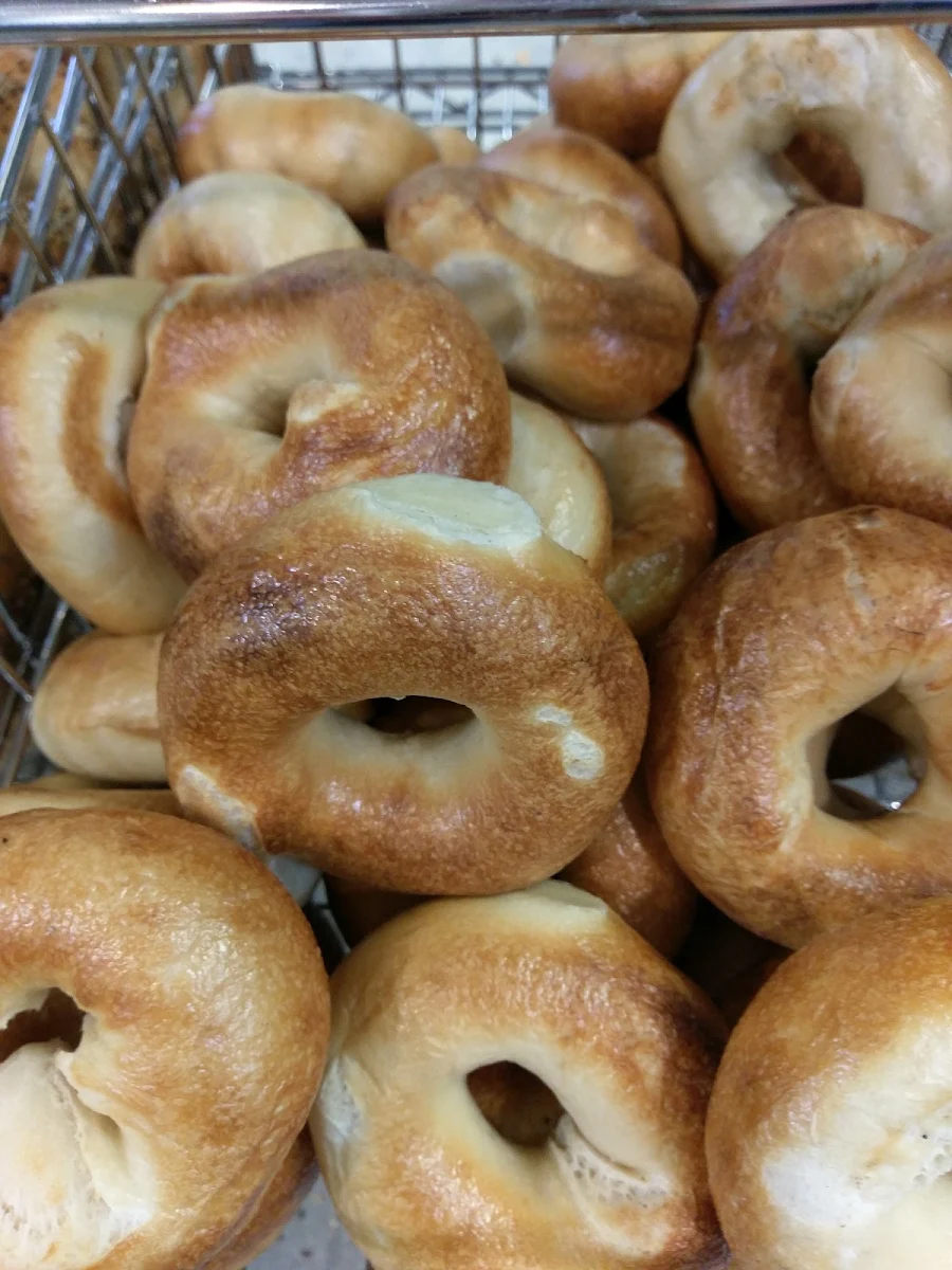 Plain Bagels