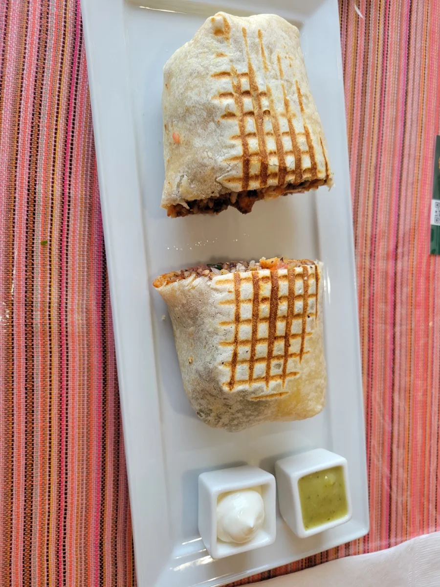 Burrito Birria, Taco & Burrito
