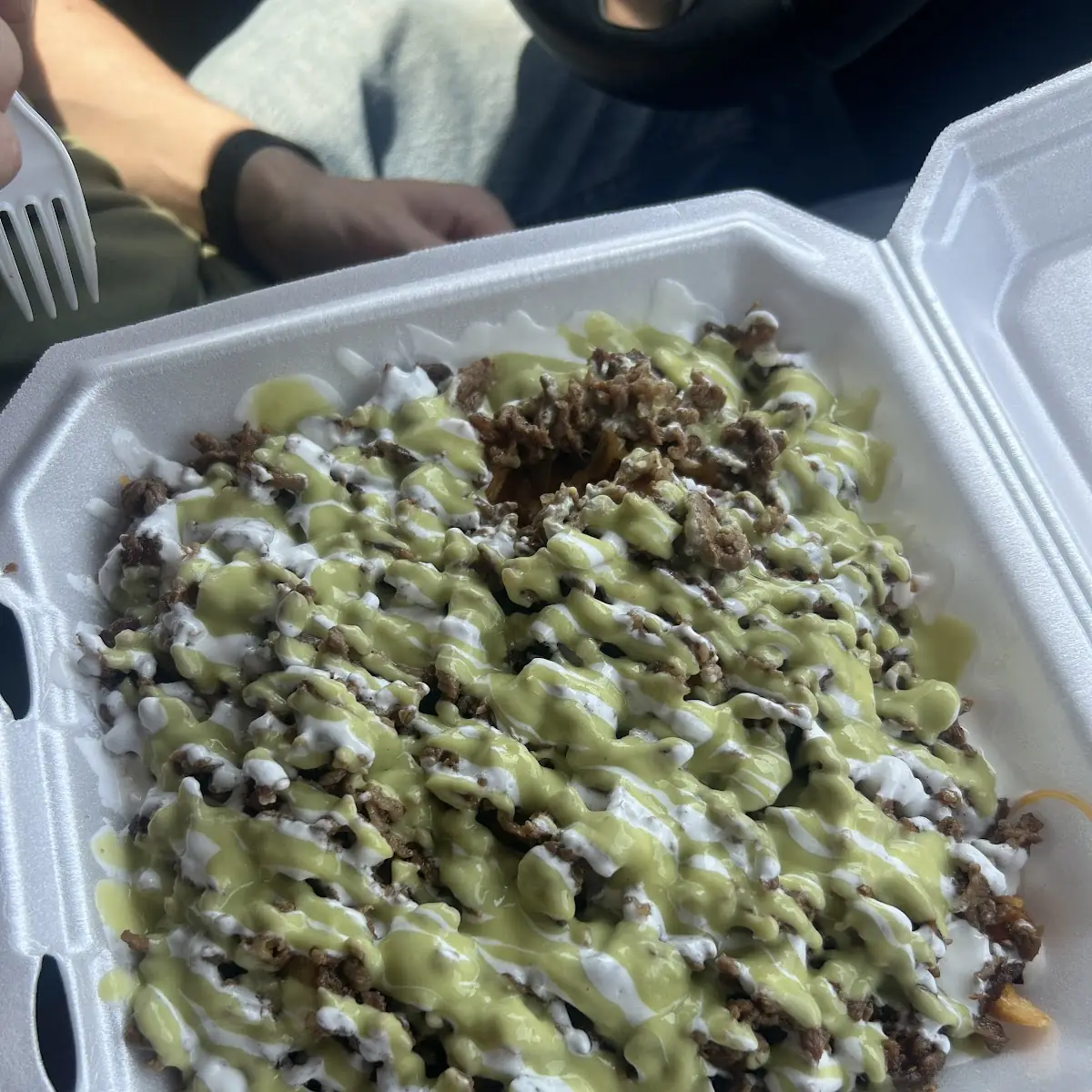 Carne Asada Fries