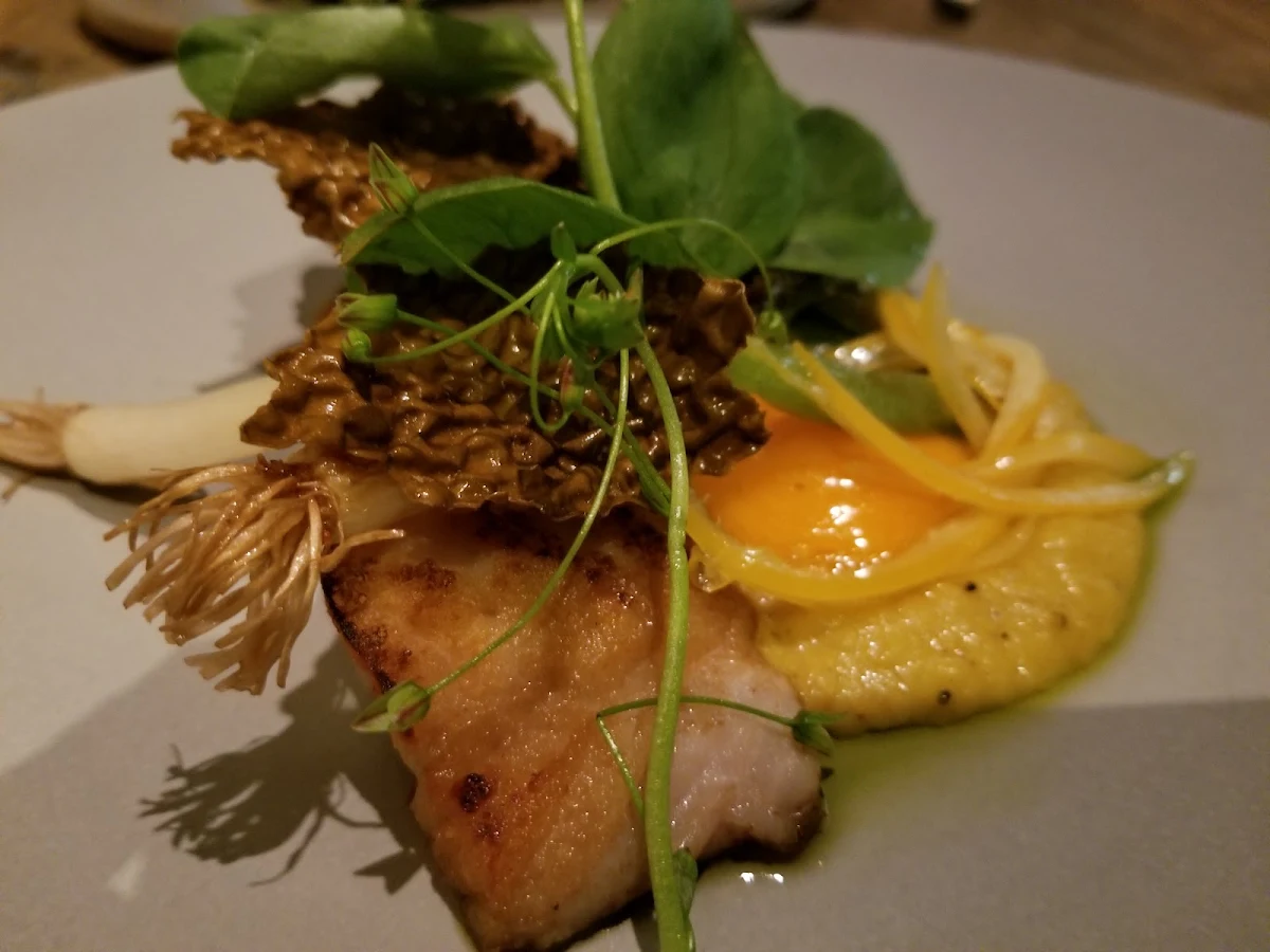 Rockfish