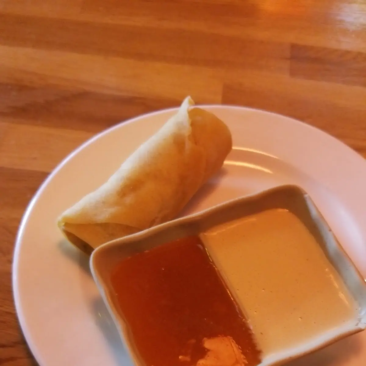 Vegetable Spring Roll