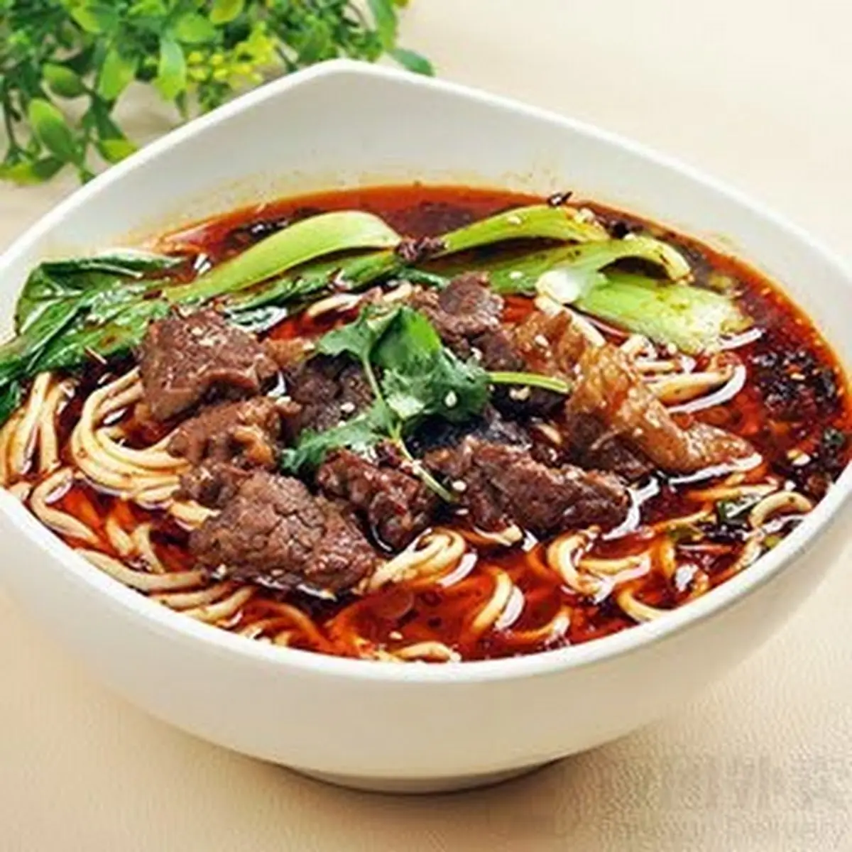 Beef Noodle Soup