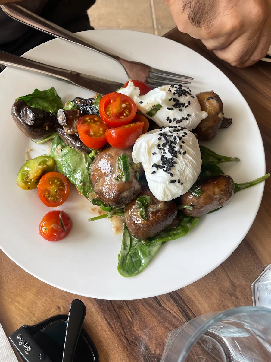 Mushroom, Double Shot Noosa