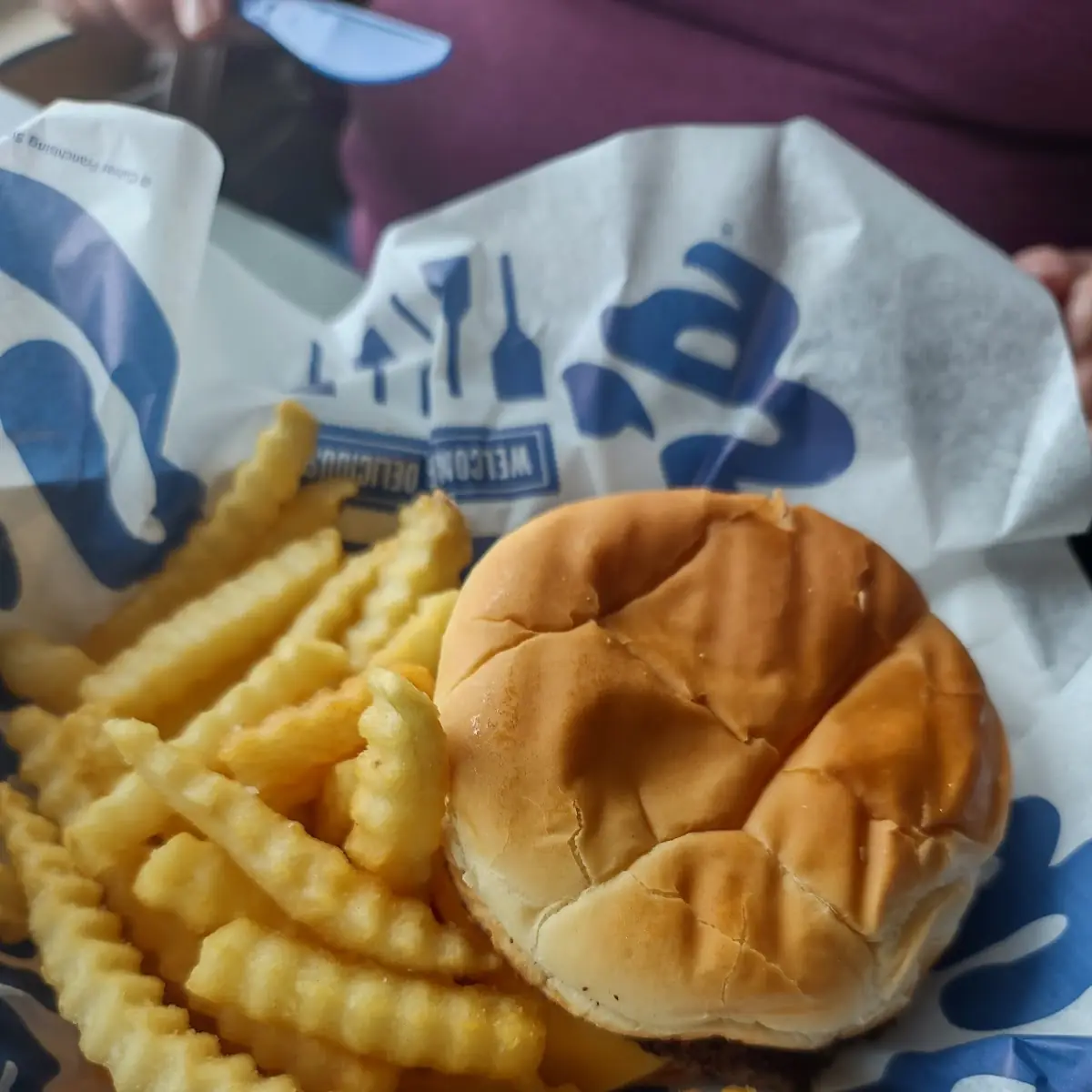 Cheeseburger Combo