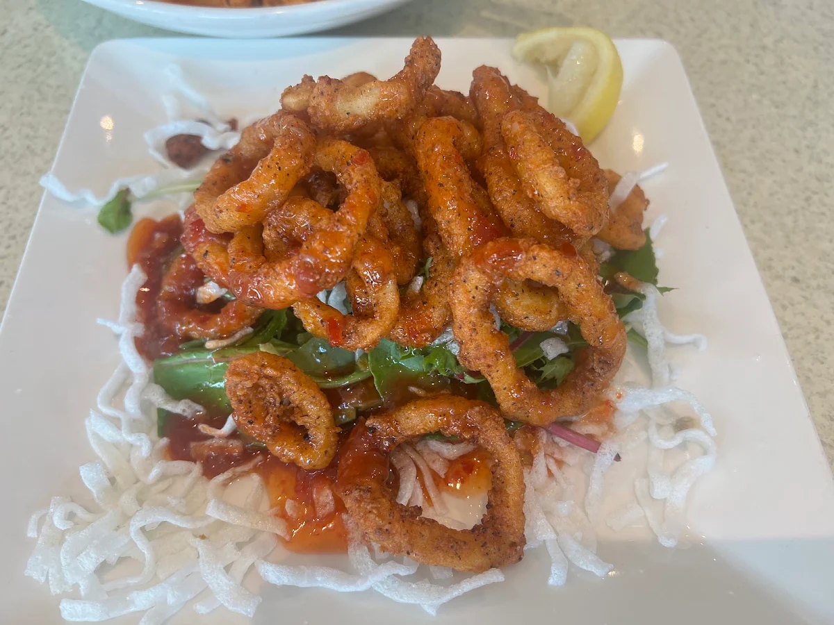 Asian Style Calamari, The Karalee on Preston