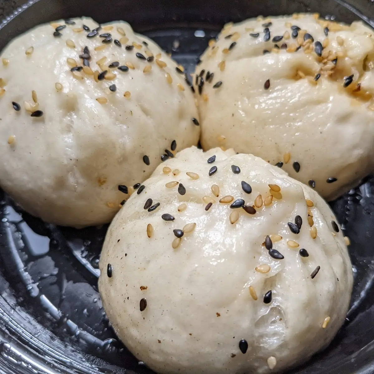 Pan Fried Pork Buns