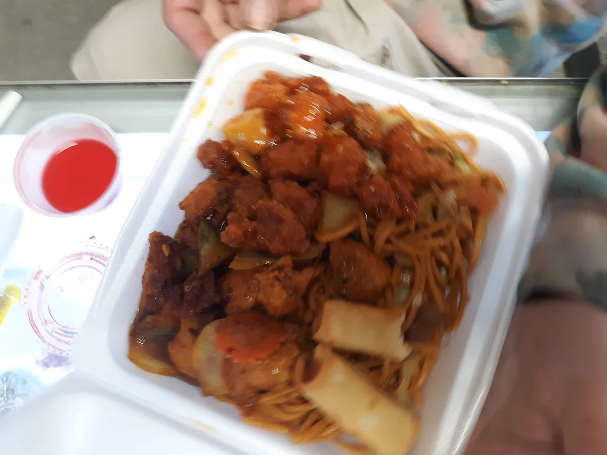 Orange Chicken Noodles and Vegetable Roll