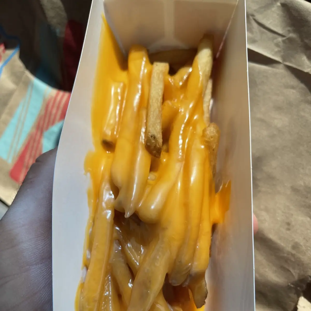 Chili Cheese Fries