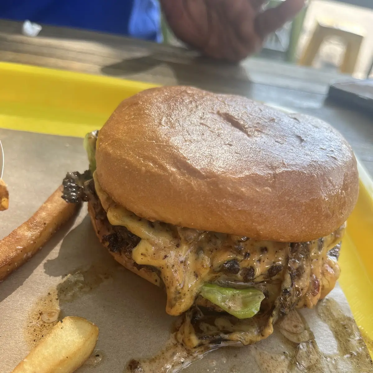 Green Chile Cheeseburger