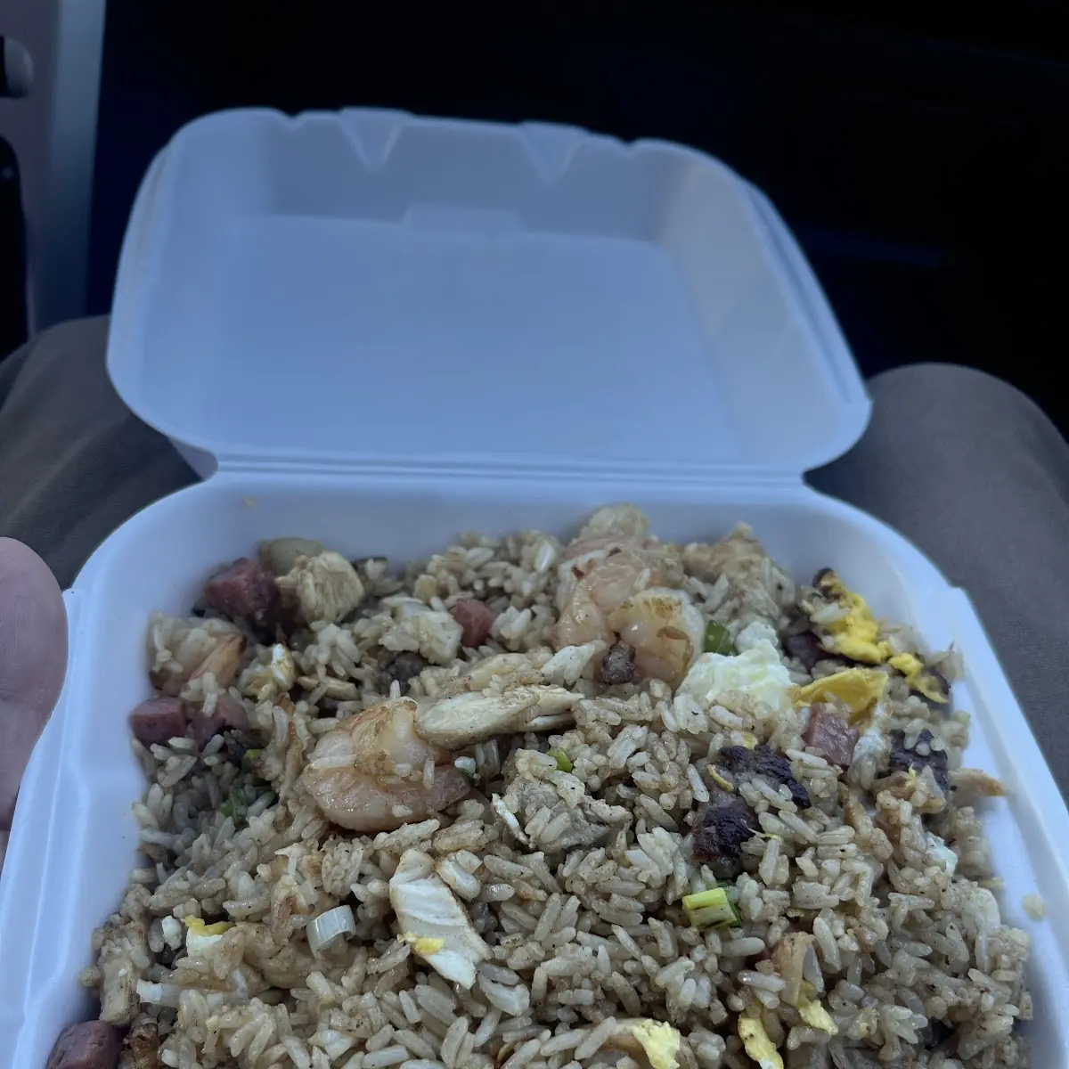 Hot Teriyaki Chicken Fried Rice