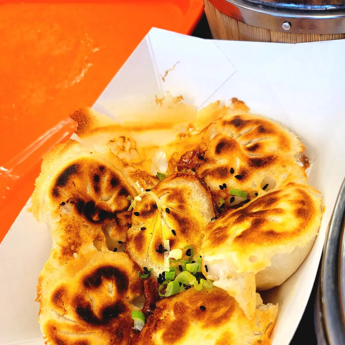Pan Fried Chicken Dumplings