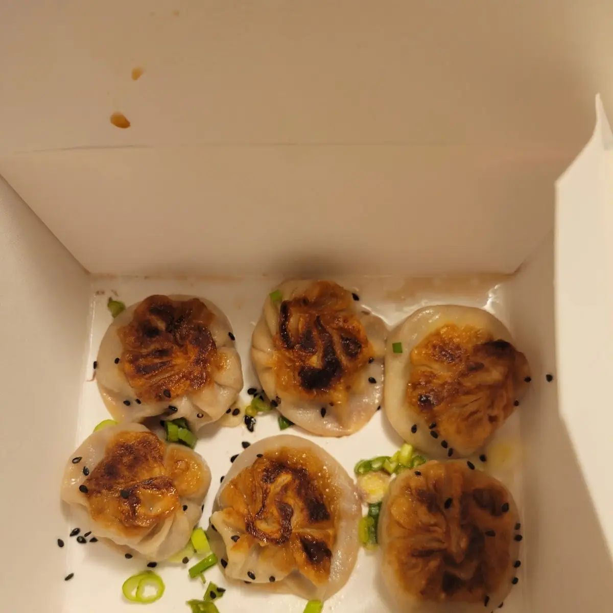 Pan Fried Chicken Soup Dumplings