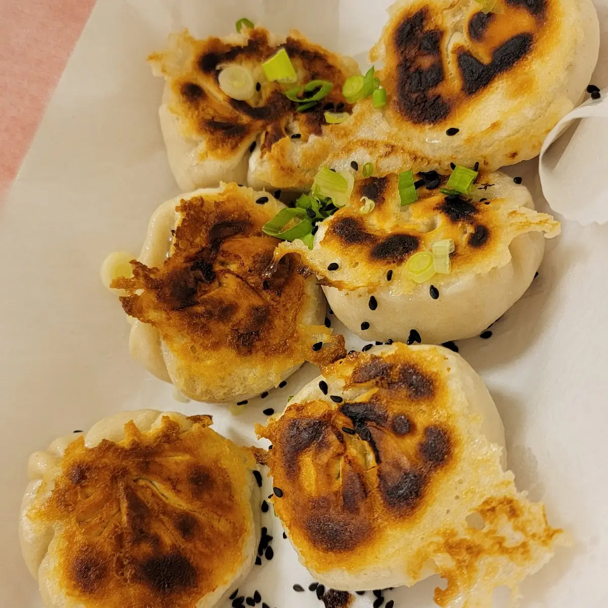 Pan Fried Pork Dumplings