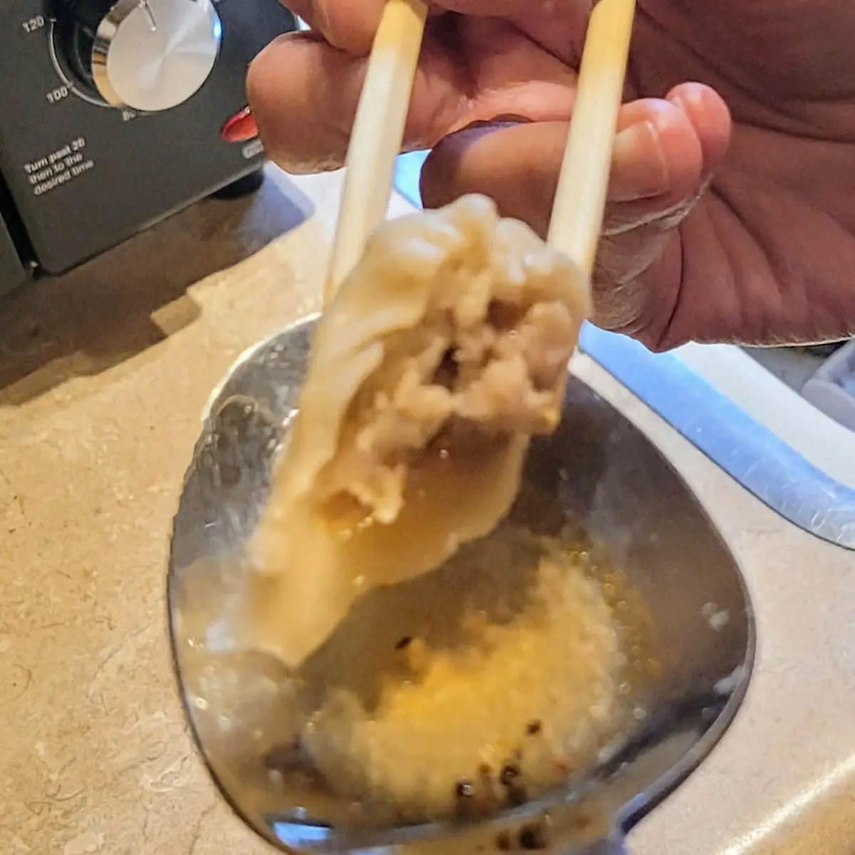 Steamed Pork Soup Dumpling