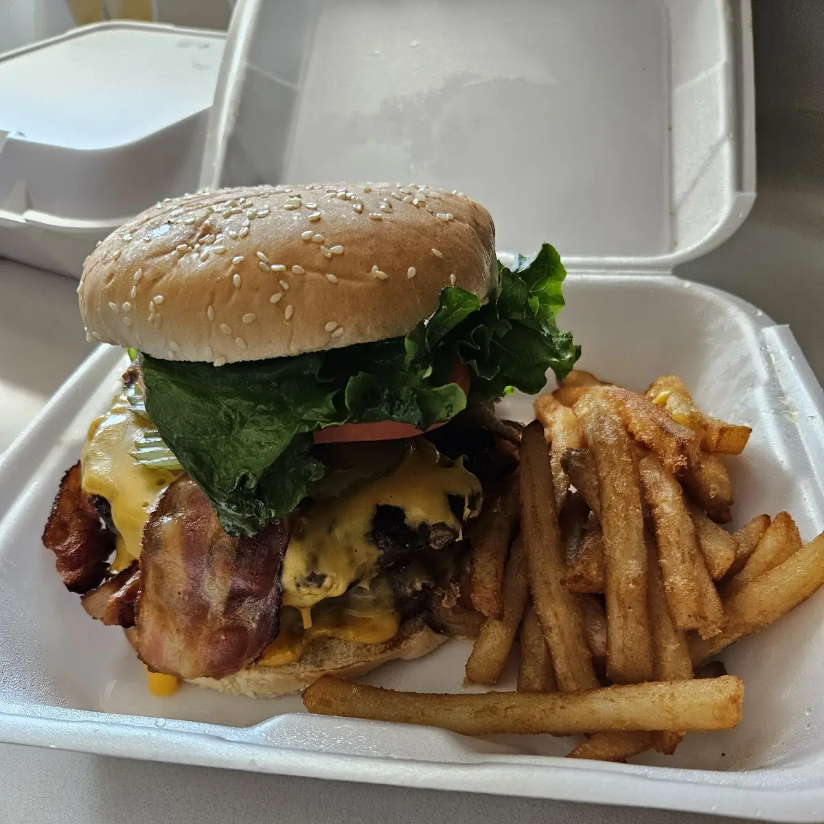 Double Bacon Cheeseburger and Fries
