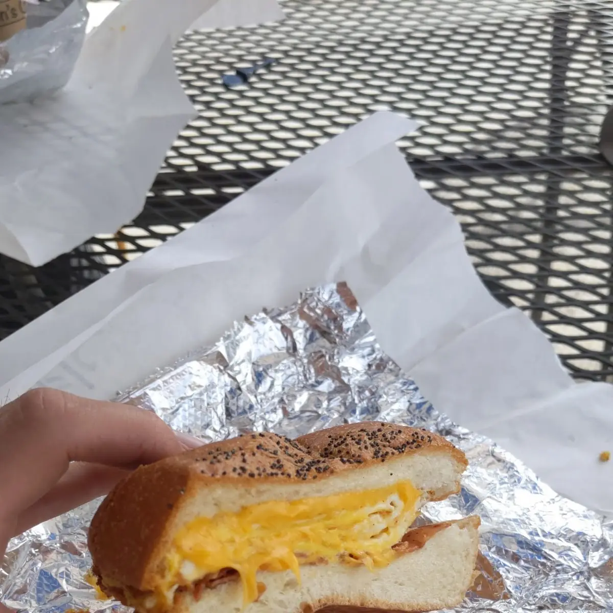 Egg & Cheese