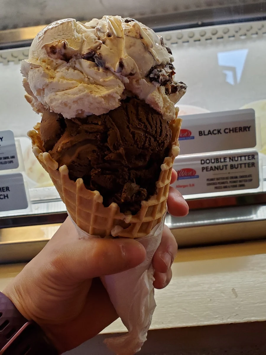 Chocolate Peanut Butter on the Bottom and Double Nutter Butter on Top