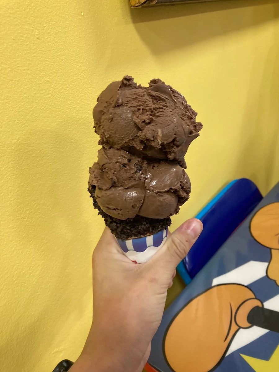 Chocolate Ice Cream
