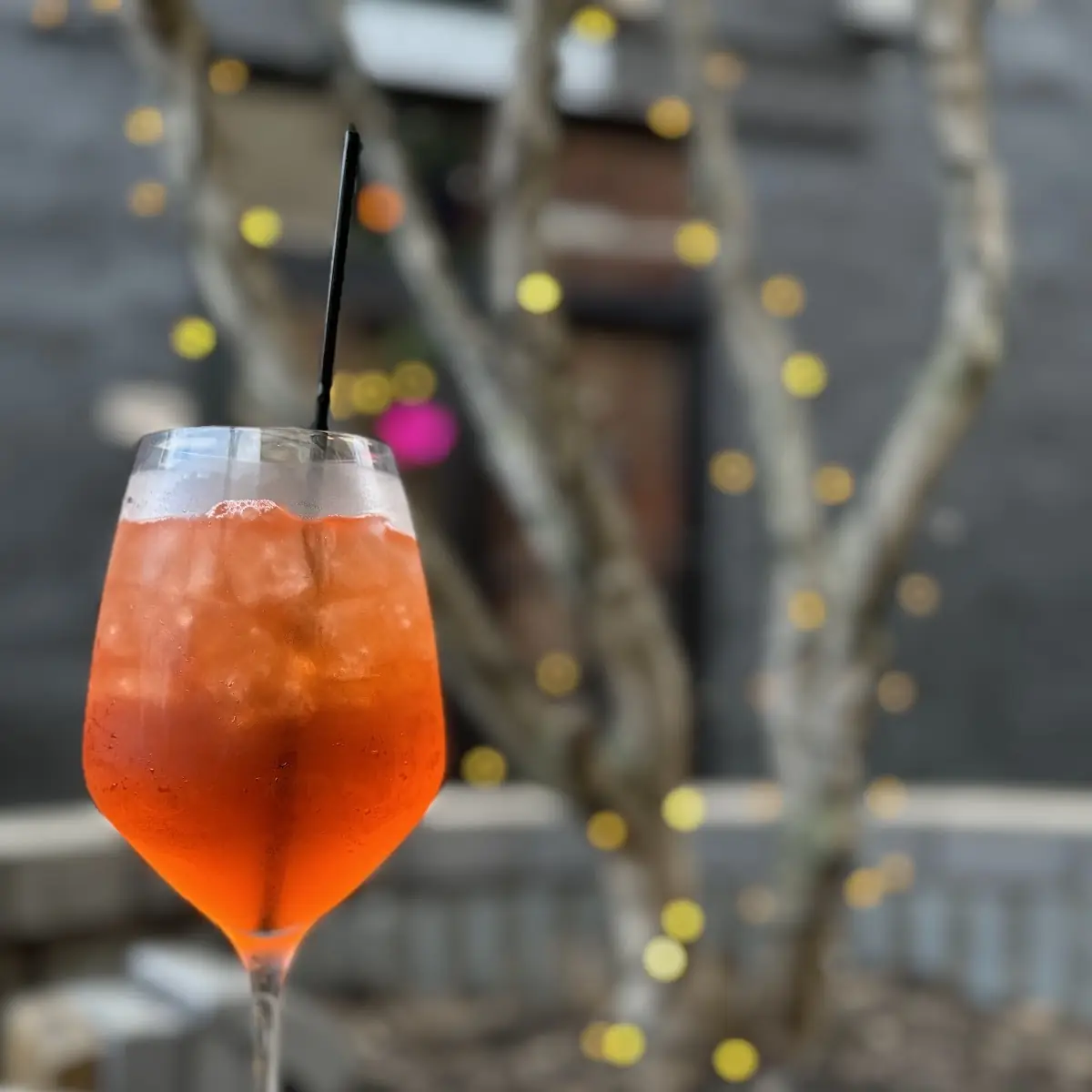 Blood Orange Spritz