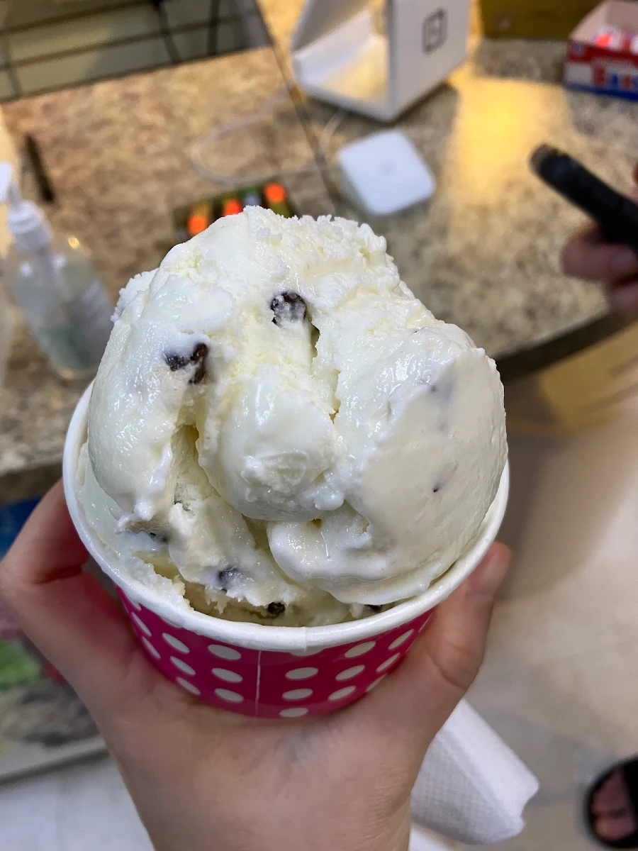 Chocolate Chip
