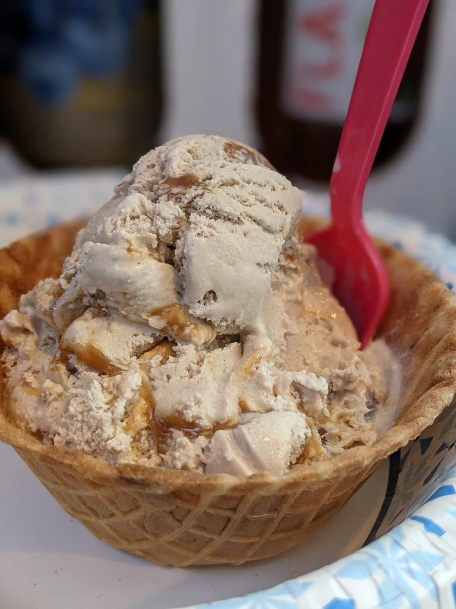 Chocolate Peanut Butter Ice Cream