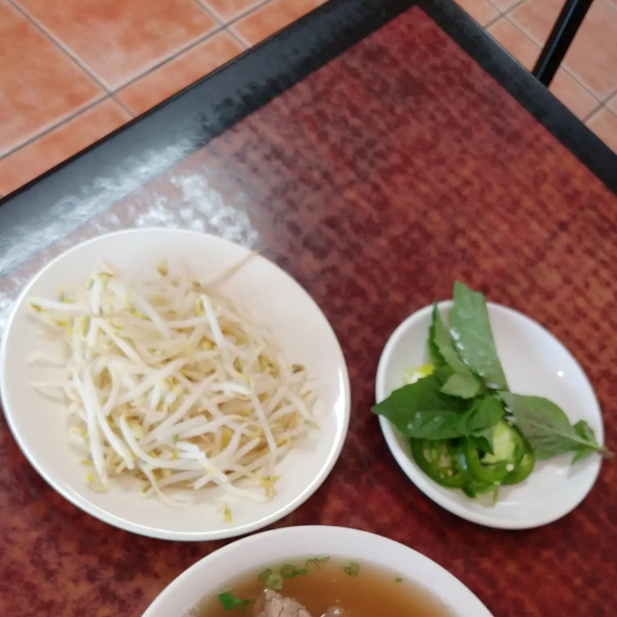 Vietnamese Beef Noodle Soup with Herbs