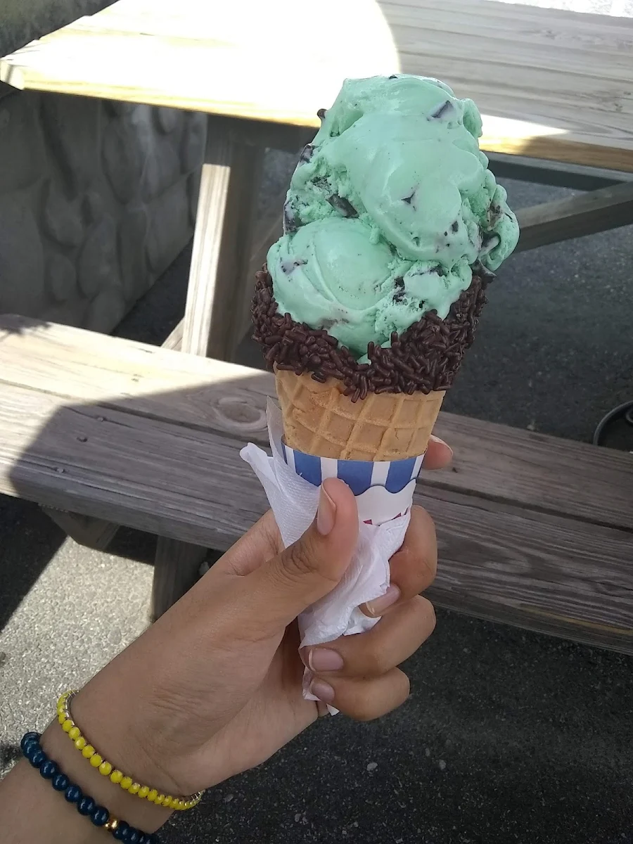 Mint Chocolate Chip