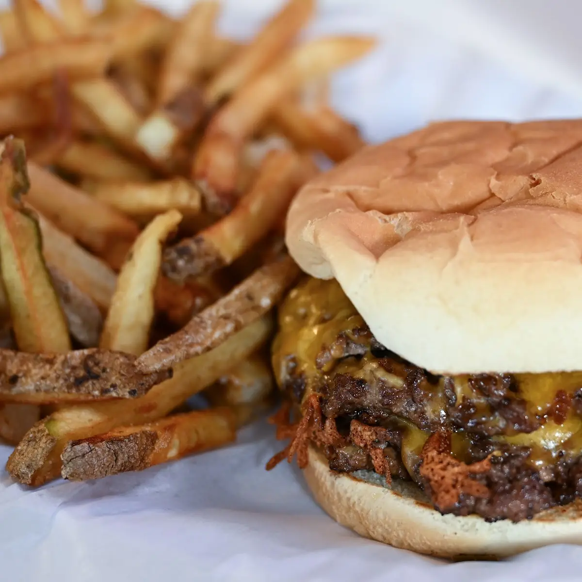 Double Cheeseburger with Fries
