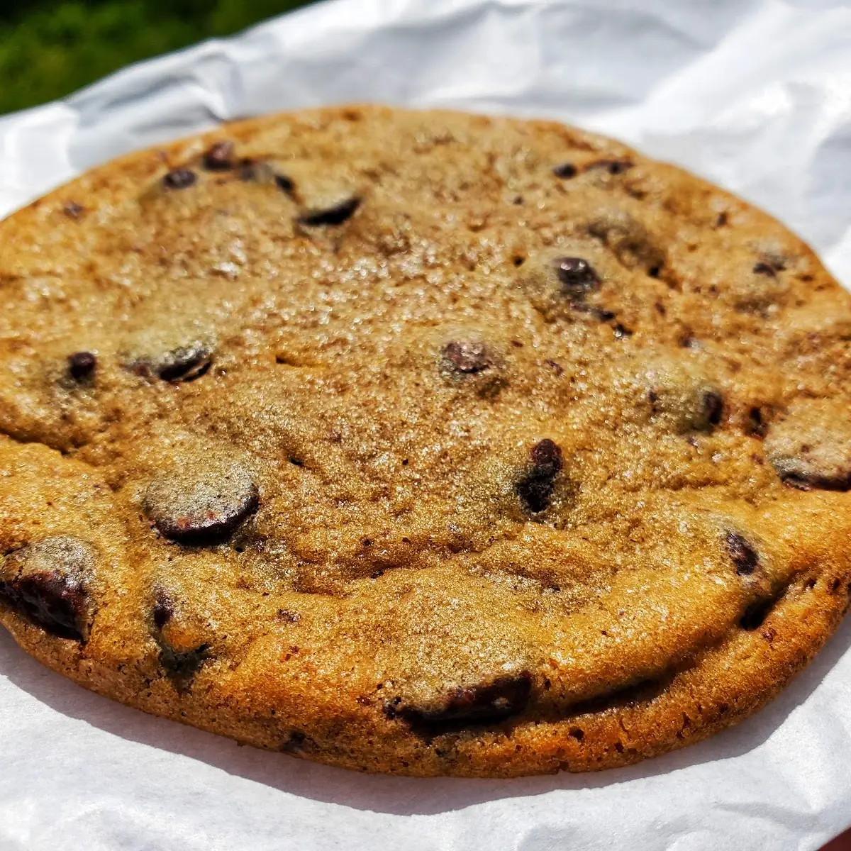 Chocolate Chip Cookie