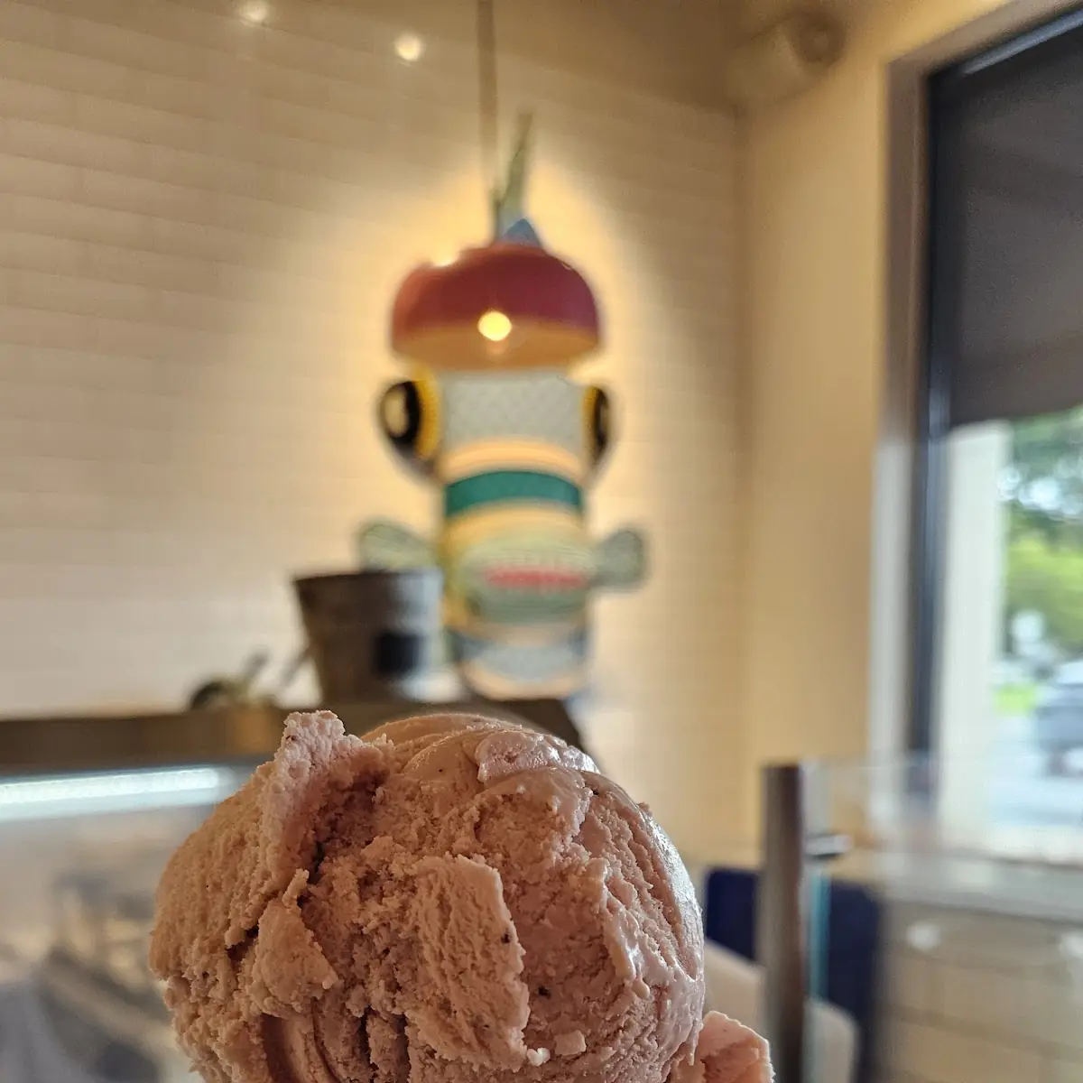 Chocolate Ice Cream