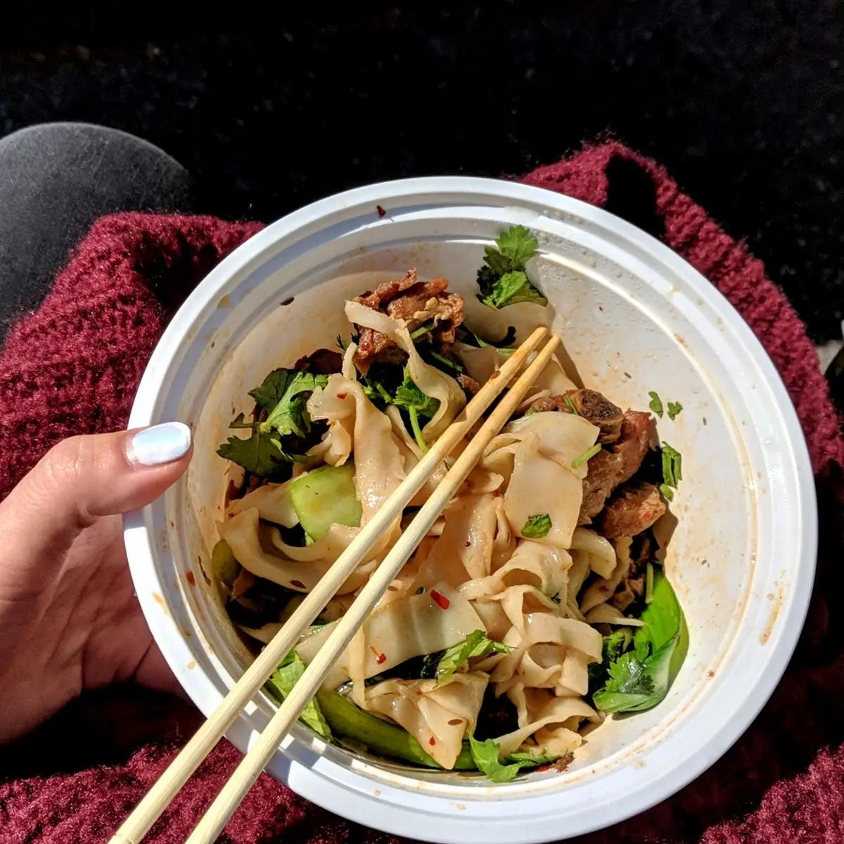 Chicken Noodles