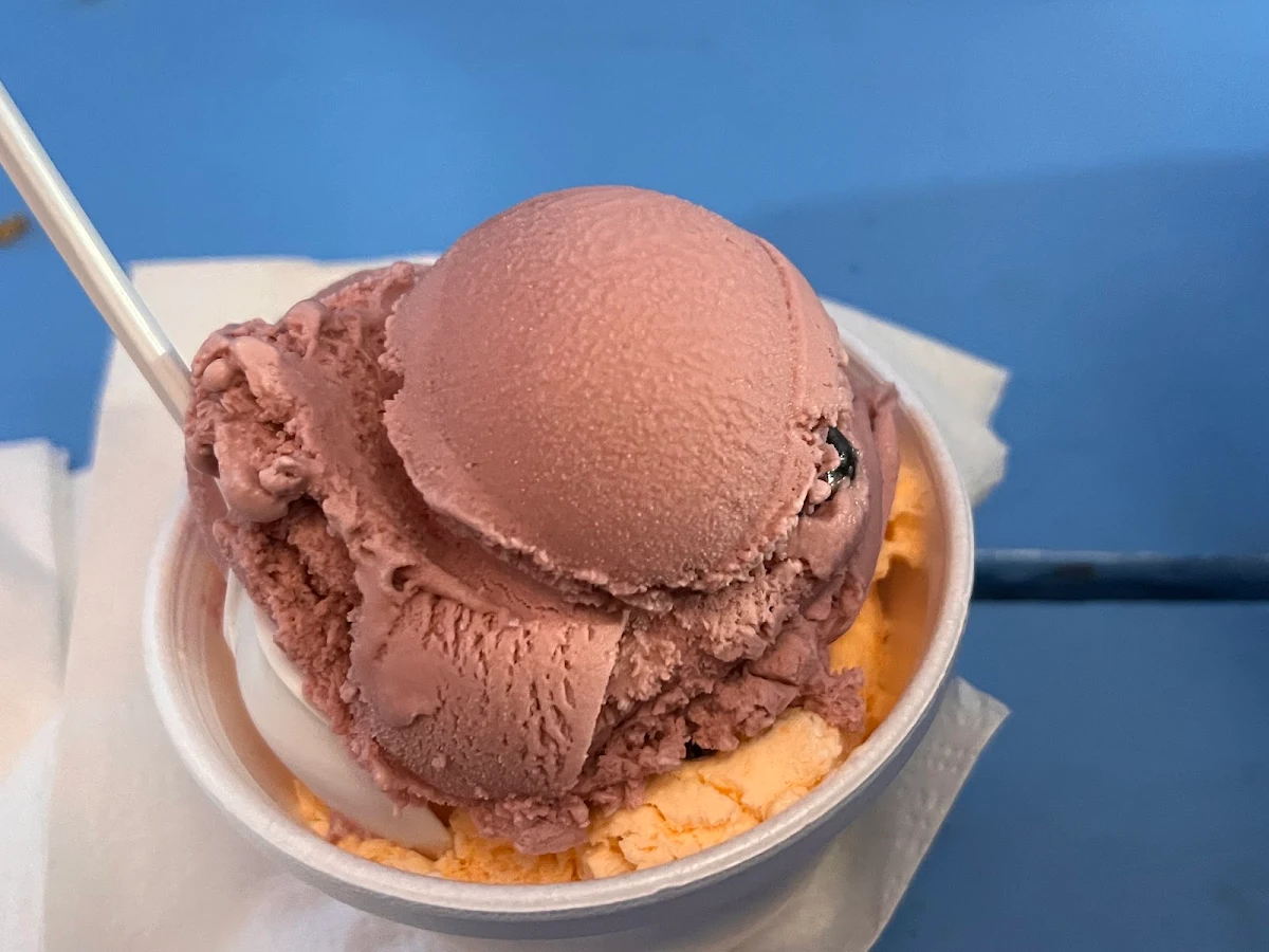Chocolate Ice Cream