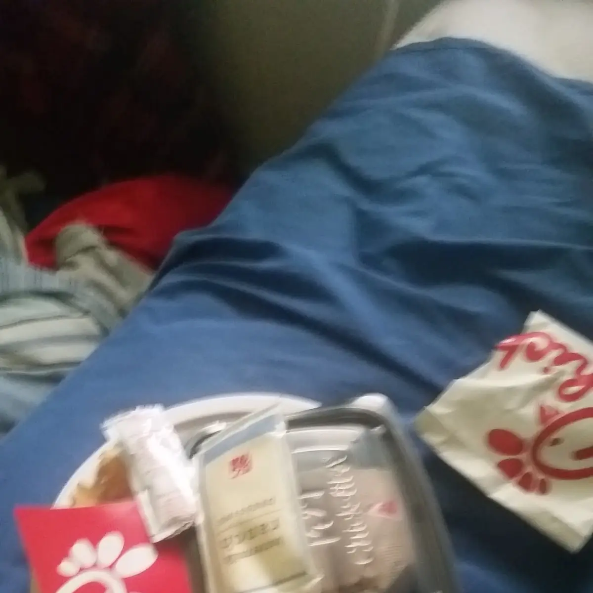 Cool Wrap and Fries