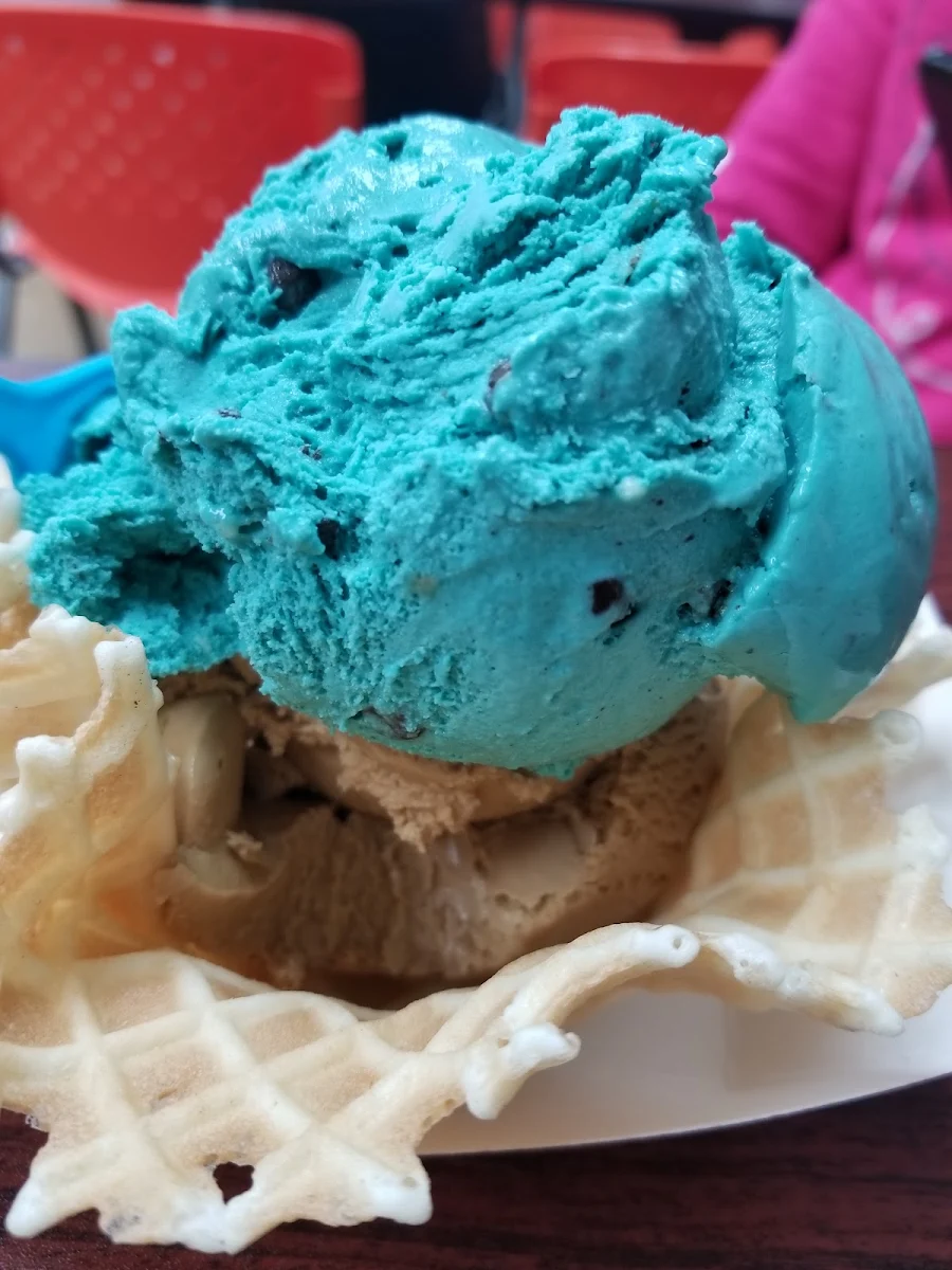 Cookie Monster Blue and Apple Pie Back Icecream Scoops in Home Waffle Bowls