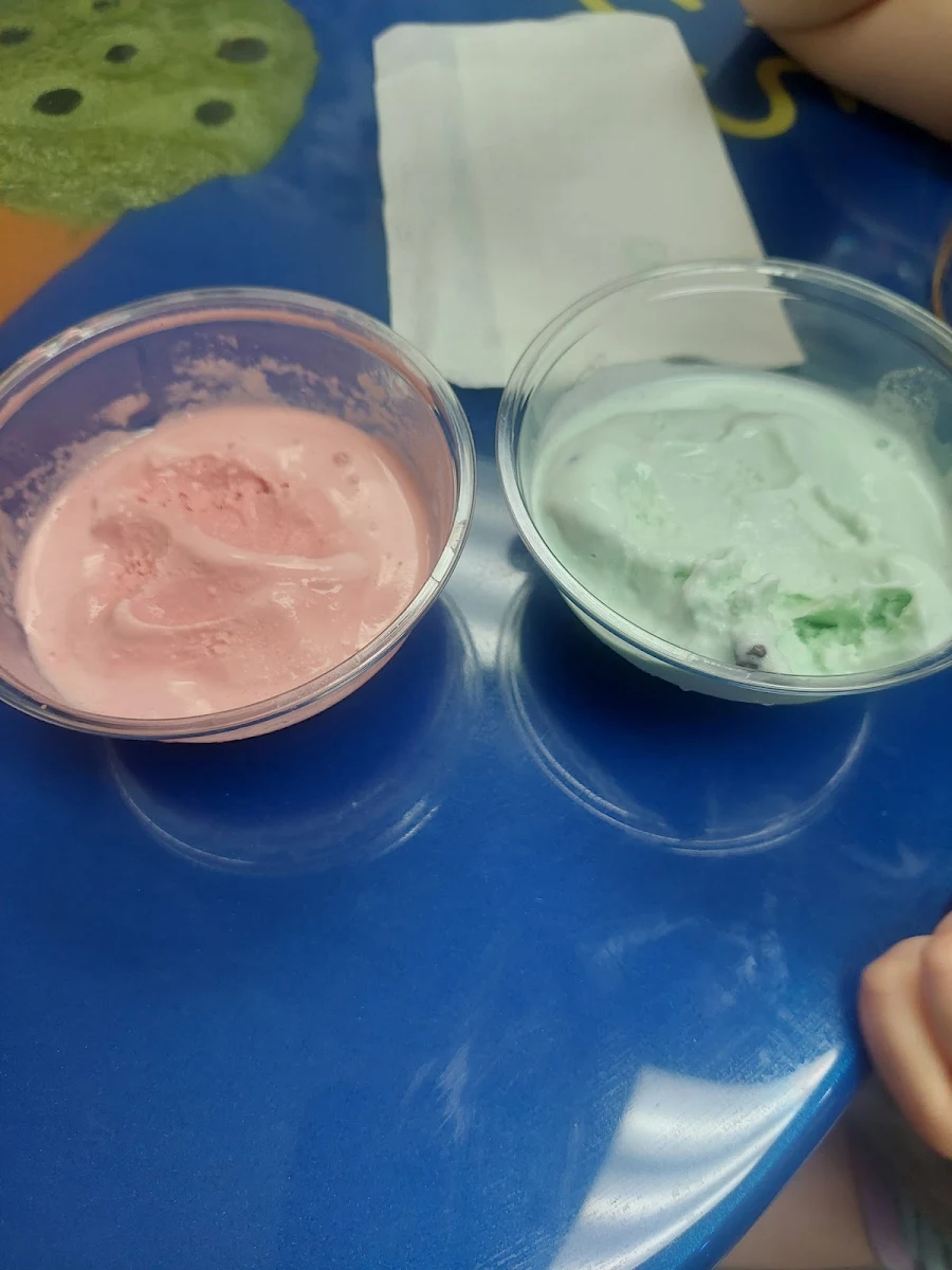 Red Velvet Ice Cream & Mint Chocolate Chips