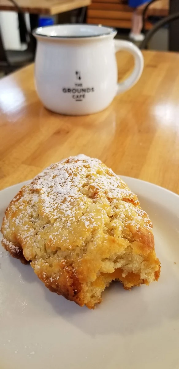 Apricot Scone