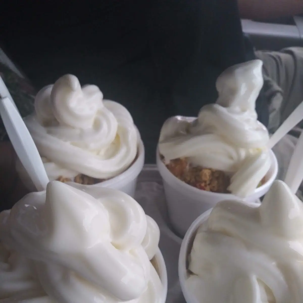 Granola Frozen Yogurt