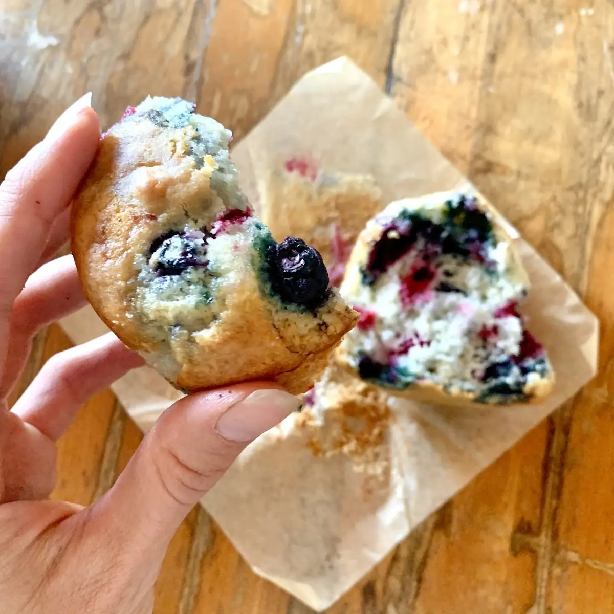 Blueberry Muffin