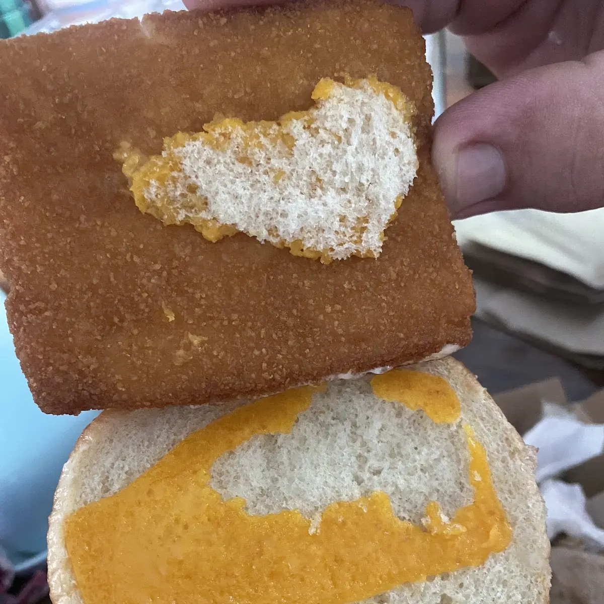 Not so Appealing Fish Sandwich
