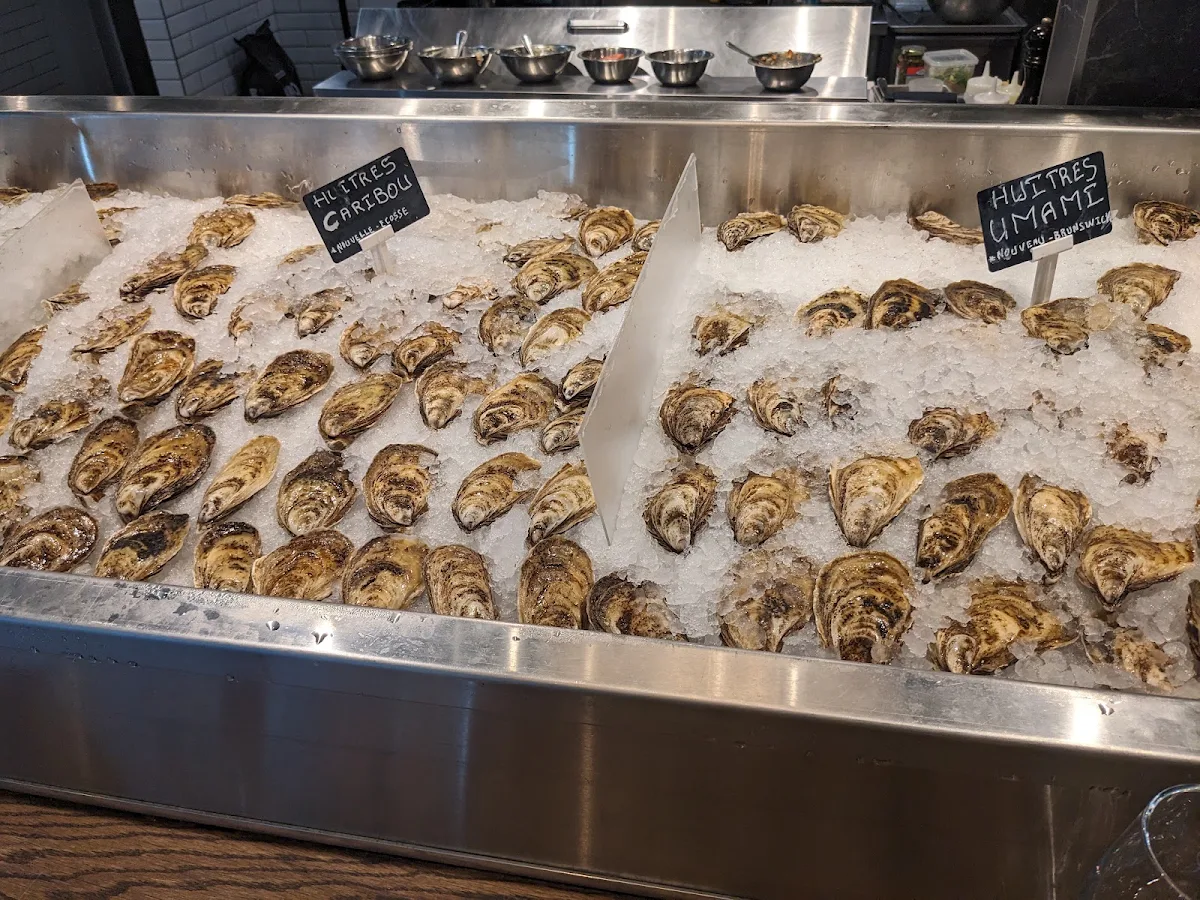 Oysters