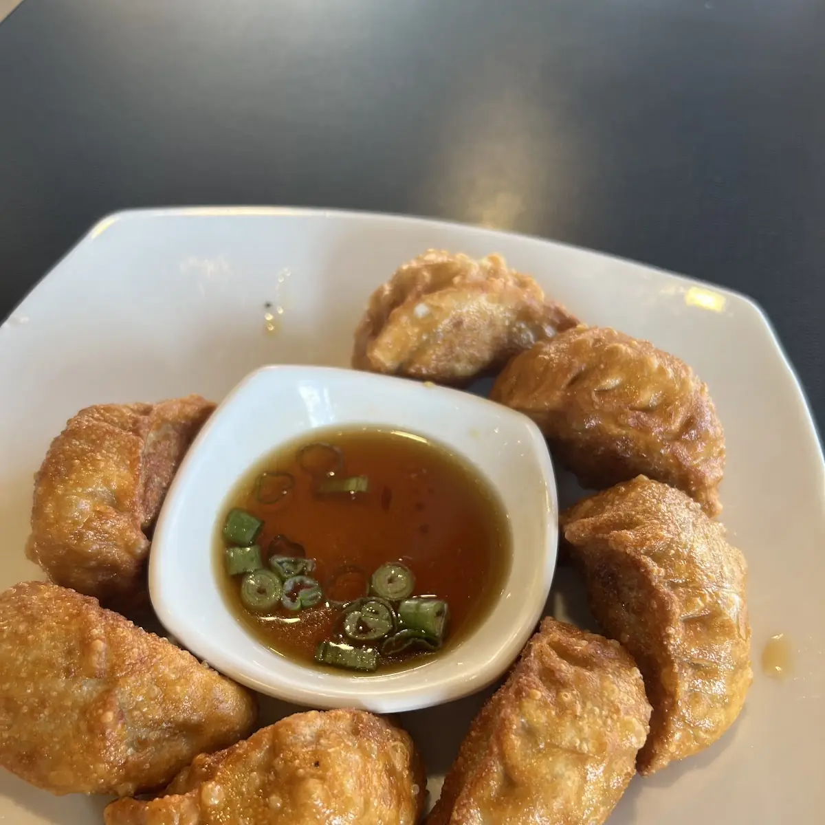 Fried Dumplings 8