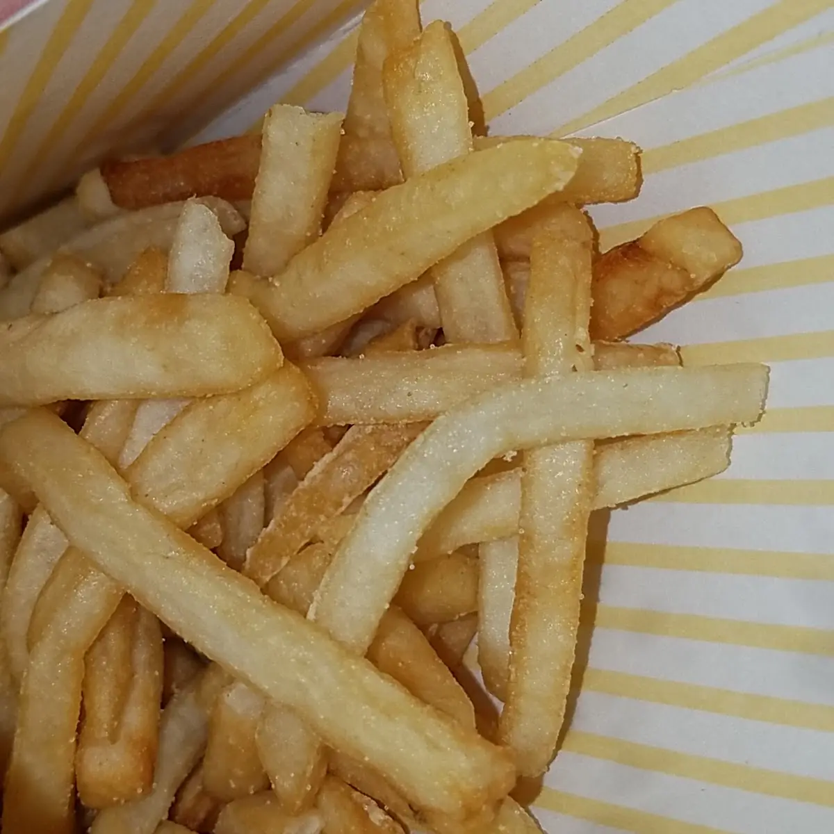 World Famous Fries