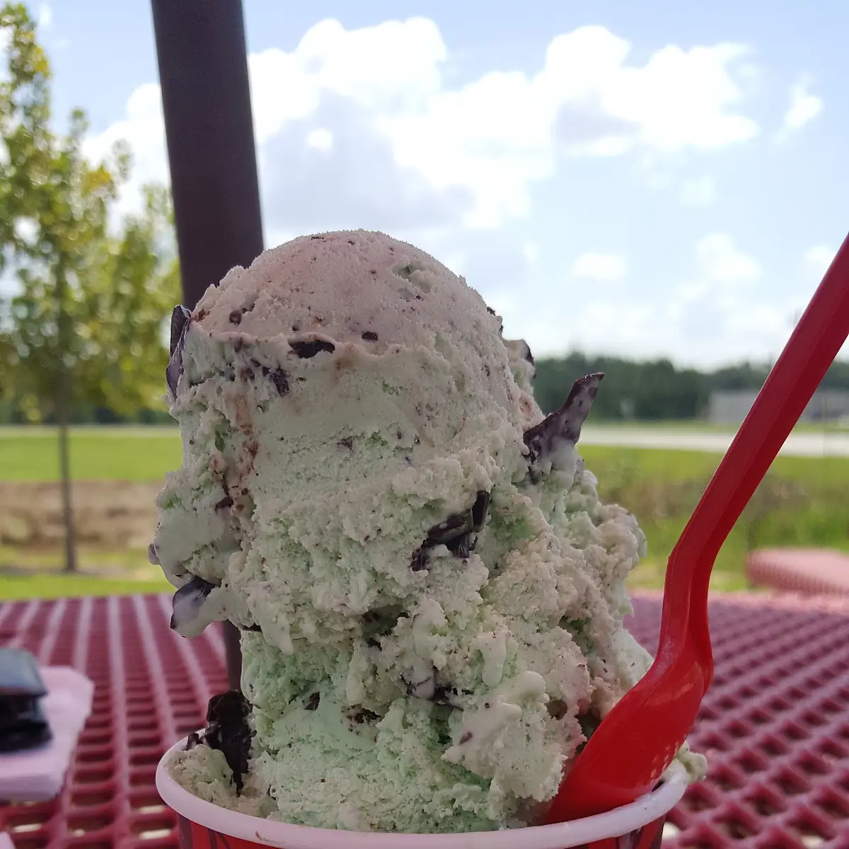 Mint Chocolate Chip