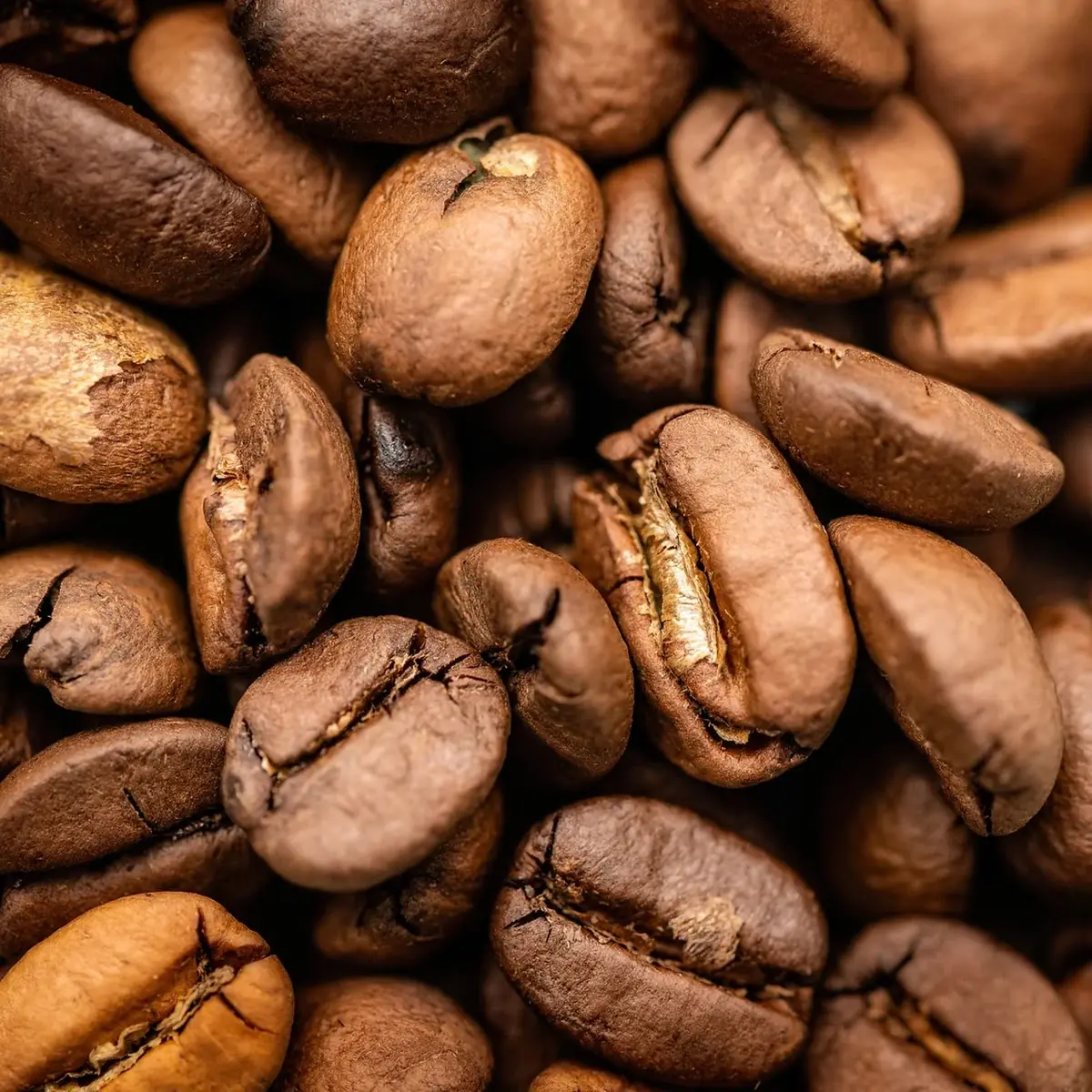 Ethiopian Light Roast